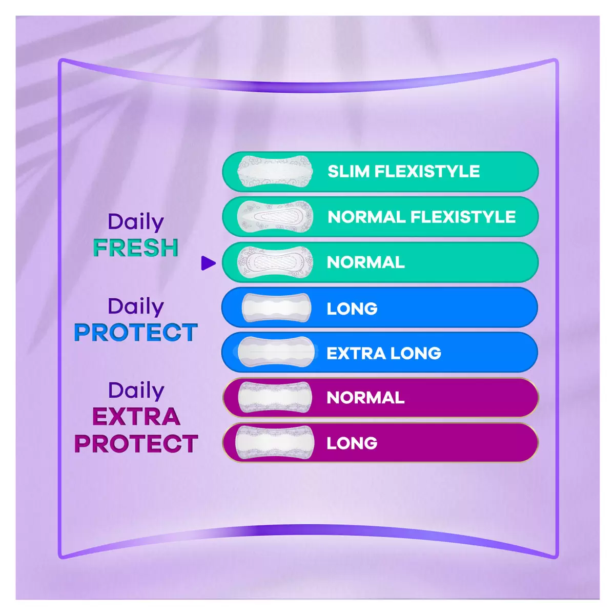 Always Dailies Panty Liners Daily Freshness Protect and Comfort Pack 3 x 54 Pads