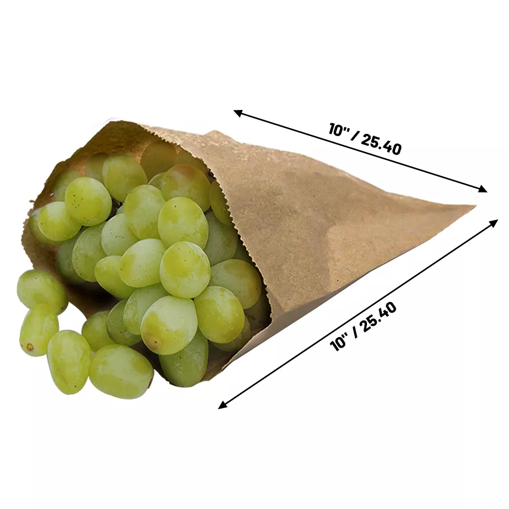 Brown Kraft Paper Bags Eco-Friendly Flat Strung Fruit and Food Storage Size 10" x 10"